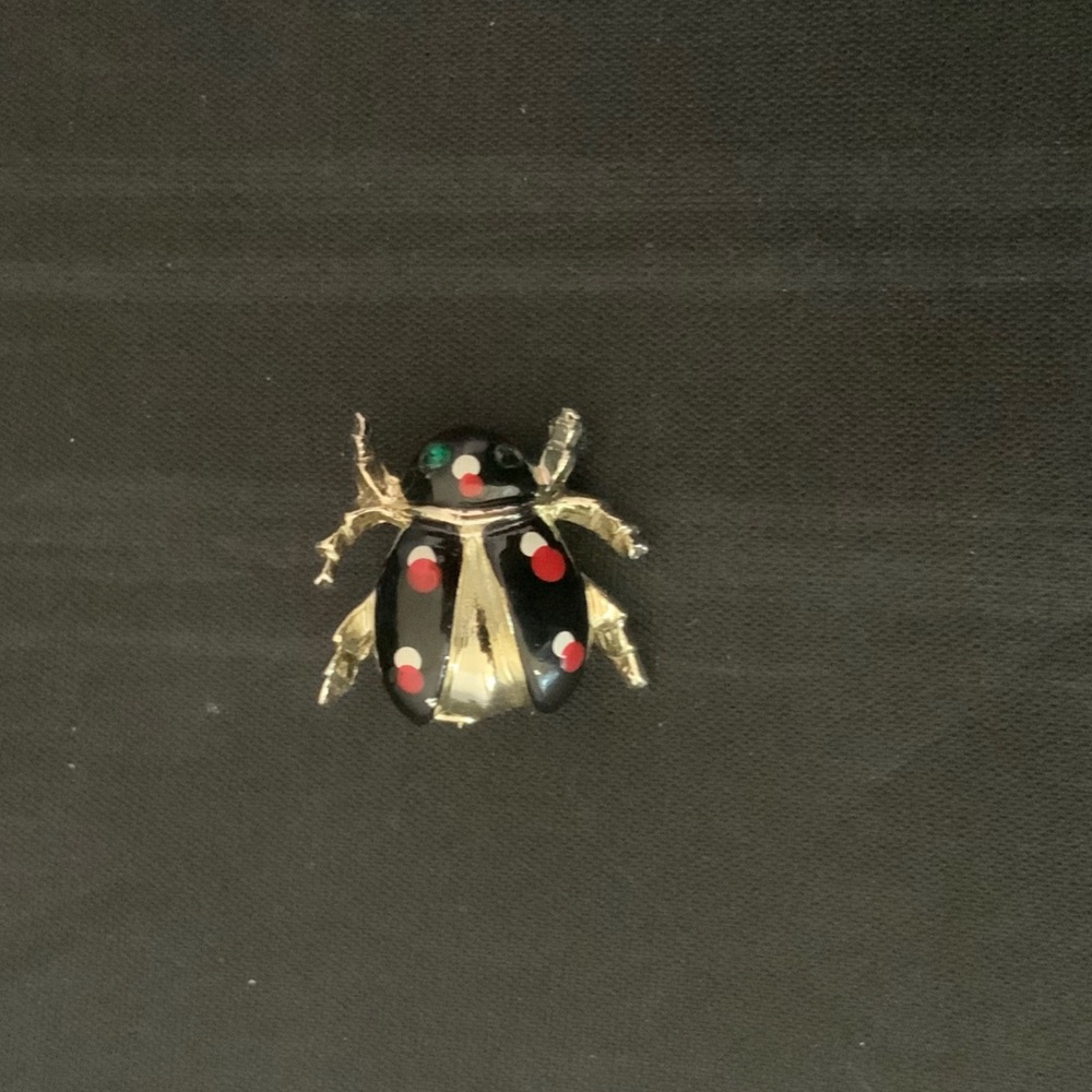 Vintage Beetle Bug Brooch